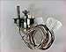 Lennox Superior Direct Vent Fireplace Propane Gas Pilot Assembly 69L18