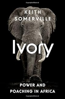 Ivory Horn And Blood Behind The Elephant And Rhinoceros - 