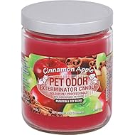 Pet Odor Exterminator Cinnamon Apple Candle - 13 oz, Pack of 2