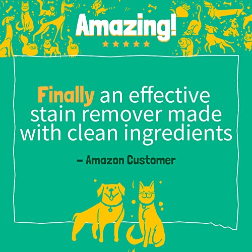 Pristine Pet Instant Stain & Odor Eliminator with Micellar Water & OXY