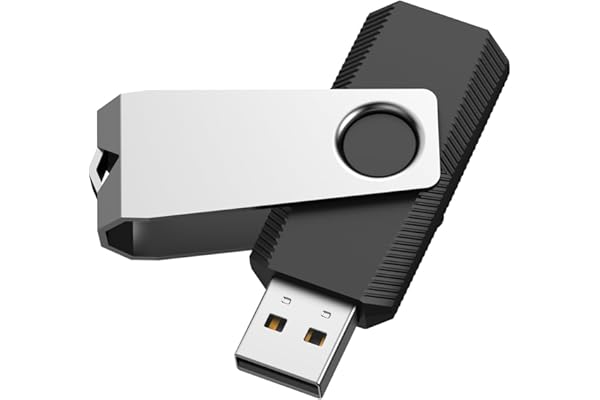 RAOYI 32GB USB 2.0 Flash Drive Swivel Metal Memory Stick Thumb Drive for Data Storage (Black)