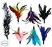 EcoCity Cat Wand Feather Refills for Cat and Kitten Wands Include 6 Pieces Replacement Feathers and 1 Soft Furry Tail for Cats (7 Pieces)