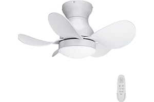 Regair Ceiling Fans with Lights, DC Motor 22 inch Flush Mount Ceiling Fans with Lights and Remote Control, Reversible Blades Small White Quiet low profile Ceiling Fan