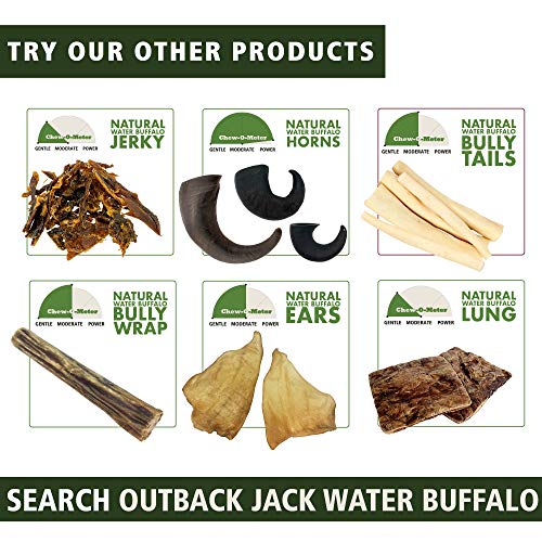 Outback Jack Water Buffalo Ears 100 Natural Dog Treats, Natural Brown