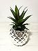 Porcelain (Silver) Potted Artificial Succulent 7.8