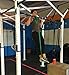 Pull Up Bands - Pull Up Assistance Strength Bands 41 inch Loop Resistance Bands - Single Unit - Premium Exercise Band for Weight Lifting, Strength, Pull Up Assist, Powerlifting - Average Green