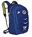 Osprey Packs Ellipse Daypack