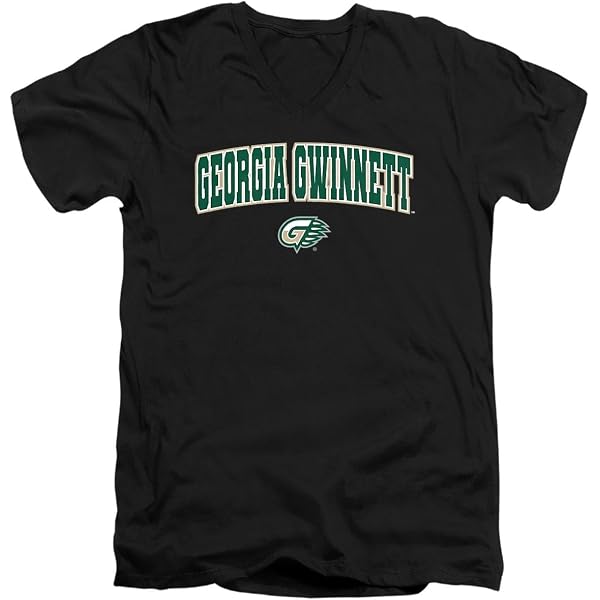 Sport Your Gear North Georgia Nighthawks UNG Long Sleeve Retro T-Shirt - Distressed College Apparel - View #3