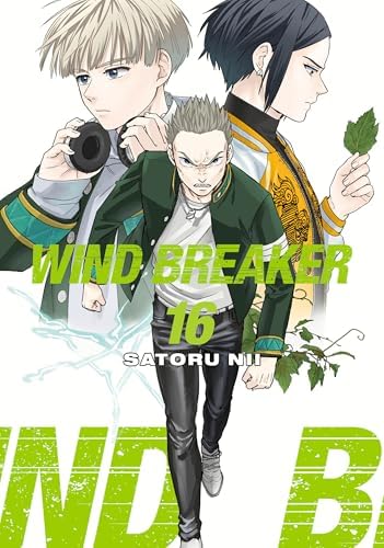 WIND BREAKER 17: Nii, Satoru: 9781646519644: Amazon.com: Books