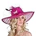 Lawliet Womens Dress Church Wedding Occasion Wide Brim Feather Veil Sun Hat A265