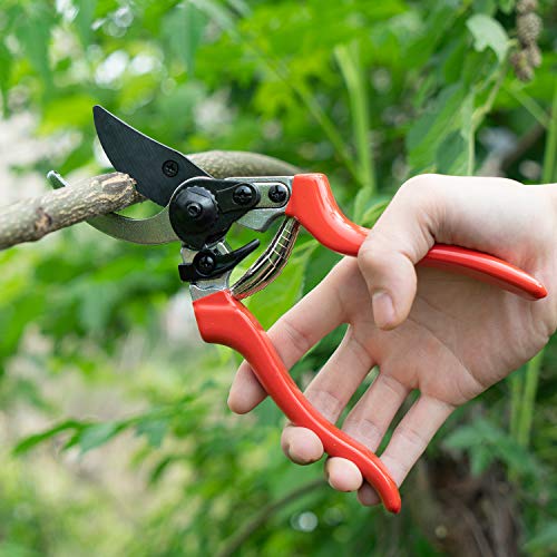 Lakaw Professional Stainless Steel Bypass Pruning Shears (LK-03041),Garden Shears,Hand Pruners,Garden Clippers.(Red)