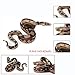 Realistic Snake Realistic Toy,Rubber Snake Figure Prank Toy Halloween Party 2PCS