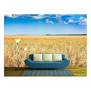 Cereal Plant Field with Blue Sky in a Sunny Summer Day Before Harvesting - Removable Wall Mural | Self-Adhesive Large Wallpaper - 66x96 inches