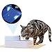 Eleoption 1.8L Large Capacity Automatic Pets Water Drinking Cat Fountain Bowl with LED Light Safety for Dogs Cats