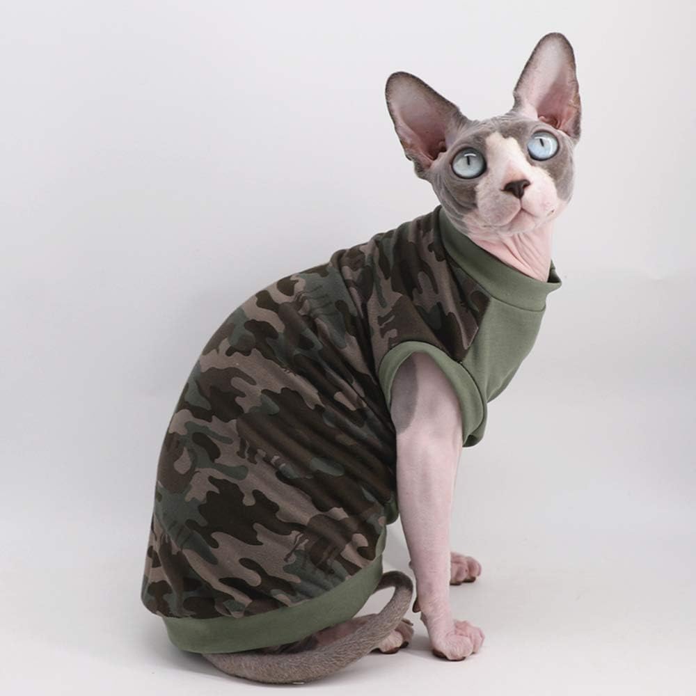sphynx wear