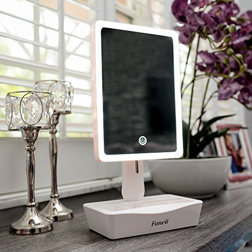 Fancii LED Lighted Large Vanity Makeup Mirror with 10X Magnifying Mirror - Dimmable Natural Light, Touch Screen, Dual Power, Adjustable Stand with Cosmetic Organizer - Gala