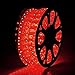Yescom 150ft Red 2 Wire LED Rope Light Indoor Outdoor Home Holiday Valentines Party Restaurant Cafe Decoration