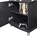 Ameriwood Home Carson Audio Stand, Espresso