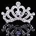 Fineder 9pcs Rhinestone Tiaras and Crown for Little Girls, Girls Princess Tiaras Costume Accessories, Comb Tiara Hair Clips for Princess Pretend Play Party Supplies