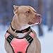 Big Dog Harness No Pull Adjustable Pet Reflective Oxford Soft Vest for Large Dogs Easy Control Harness (L, Pink)