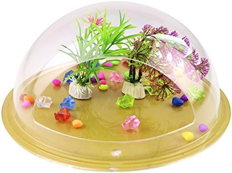 Wall Fish Bowl | Beautiful Translucent Round Wall Mounted Fish Bowl with Net Plant Rock Bonus | Durable Shatterproof Acrylic Glass 2.1 Gallon Water Tank for Home Betta Aquarium Gardening Decor | 1416