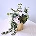 Supla 6 Assorted Fake Succulents Plants Picks Textured Artificial Succulents Unpotted Pick Succulent Stems Fake Succulent Bouquet String of Pearls Succulent Faux Succulent Floral Wall Art