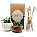 Premium Natural Bamboo Toothbrush - Eco Friendly and Biodegradable Toothbrushes w/Soft Bamboo Fiber and BPA Free Nylon Bristles - Organic Dental Care For Men and Women - 4 Pack by Ecoture
