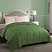 Superior Classic All-Season Reversible Down Alternative Comforter, Comfy, Fluffy, Cozy, Lightweight, Decorative, Duvet Insert, Plush, Oversized Bedding Essential, Box Quilt Design, Twin, Terrace Green