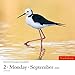 Audubon Birds Page-A-Day Calendar 2019