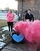 Gender Reveal Pink and Blue Announce the Baby's Gender (2 Pink and 2 Blue Sticks)