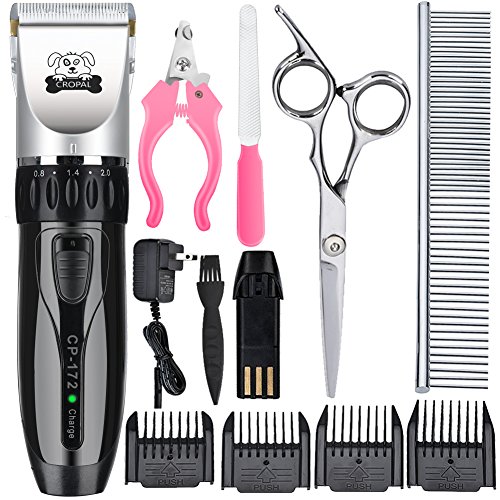 Dog Clippers Shih Tzu at Beth Wellman blog