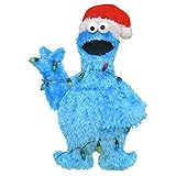 Product Works 32-Inch Pre-Lit Sesame Street Cookie Monster in Lights Christmas Yard Decoration, 15 Lights