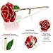 AGM 24k Red Gold Rose Flower with Long Stem Real Rose Dipped in Gold, Gift for Her Mom Wife Girlfriend Women Girls Christmas, Thanksgiving, Valentine's Day, Birthday, Mother's Day, Wedding