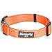 Blueberry Pet Essentials Florence Orange Adjustable Nylon Dog Collar for Medium Dogs, Classic Solid Color Pet Safety & Style for Medium Dogs