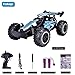 Rainbrace RC Racing Car Remote Control Car High Speed RC Car Fast RC Truck Rechargeable Radio Controlled Car RC Race Car Toys for Boys Girls Kids Age 5 16 Year Old Gift Present Blue