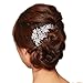 EVER FAITH Bridal Hair Comb Flower Cluster Clear Austrian Crystal Silver-Tone