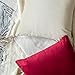 MIULEE Pack of 2 Velvet Soft Solid Decorative Square Throw Pillow Covers Christmas Cushion Cases Pillowcases for Sofa Bedroom Couch Car,18x18 Inch Wine Red