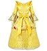 Princess Belle Deluxe Yellow Party Dress Costume (6-7, Style 3)