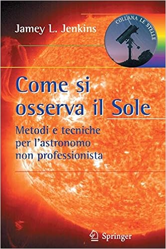 Jamey L. Jenkins - Come si osserva il sole (2010)