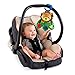 Baby Einstein Lion Toy, Discover and Go
