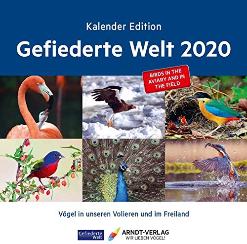 Kalender Edition Gefiederte Welt 2020 Vogel In Unseren Volieren Und Im Freiland Amazon De Arndt Verlag E K Bucher