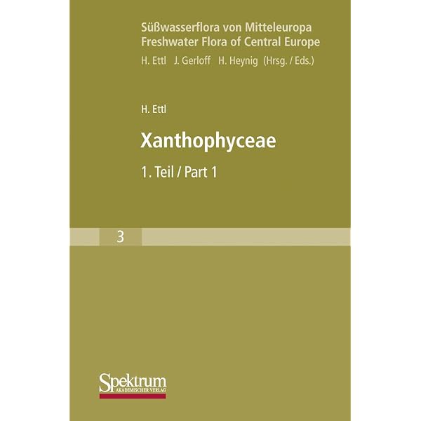 Amazon.com: Süßwasserflora von Mitteleuropa, Bd. 10: Chlorophyta