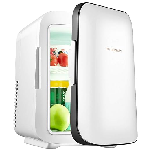 Refrigerador portatil Lxn Mini Nevera 4L Mute Reefer Cooler Box y ...