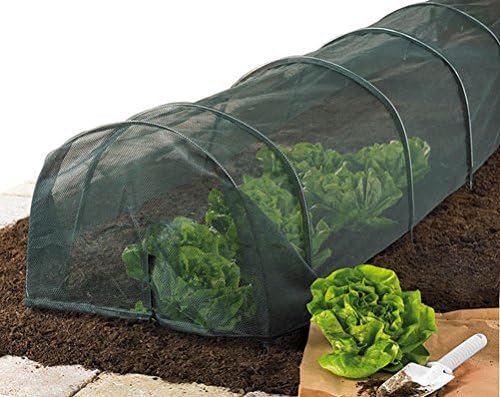 Túnel de malla resistente para proteger las plantas del jardín ...