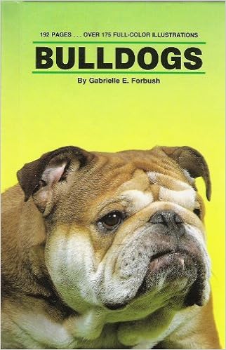 Bulldogs �n�[�h�J�o�[ - 1990/3/1