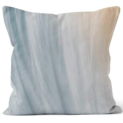 Amazon Com Nine City Gray Color Trends Chicken Feather Texture