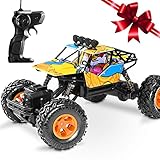 Neeyer RC Car 4WD 1/16 Crawlers Off Road Vehicle Toy Remote Control Car Doodle Color …