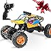Neeyer RC Car 4WD 1/16 Crawlers Off Road Vehicle Toy Remote Control Car Doodle Color …