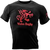 Wales Rugby Logo T-Shirt