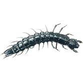 Tackle Max Hellgrammite Soft Plastic Fishing Lure - Super Realistic Bass and Trout Bait, 3.7", 8 Pack